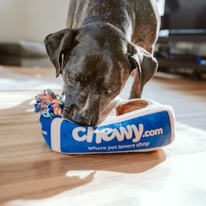 Juguete Interactivo Rompecabezas